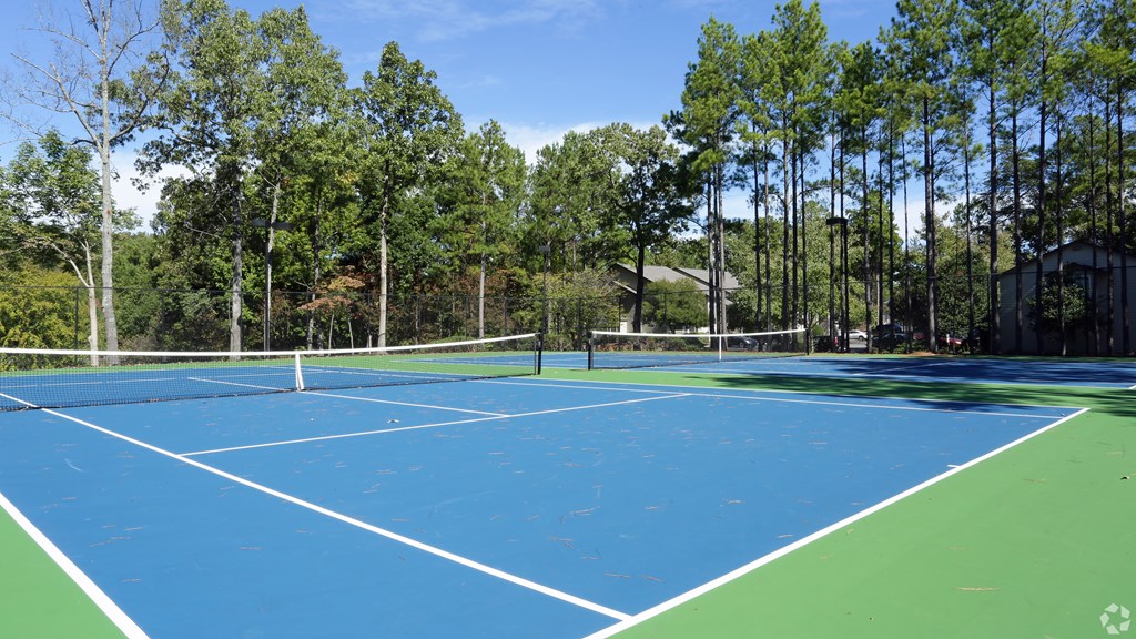 A tennis court surrounded by trees on a sunny day.